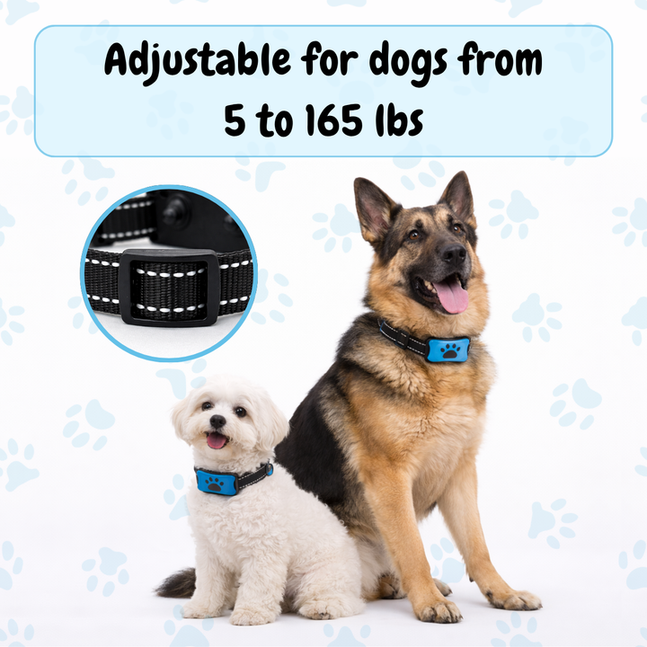 EduBark Anti-Bark Collar