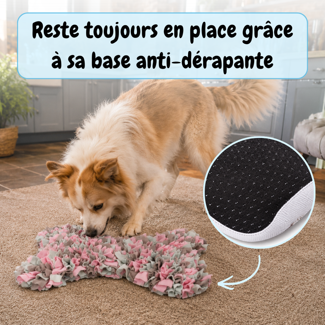 Tapis de fouille