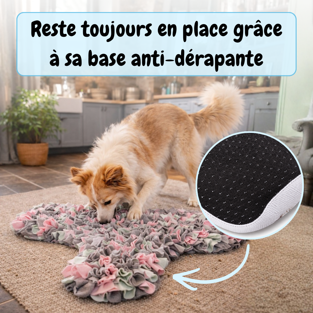 Tapis de fouille