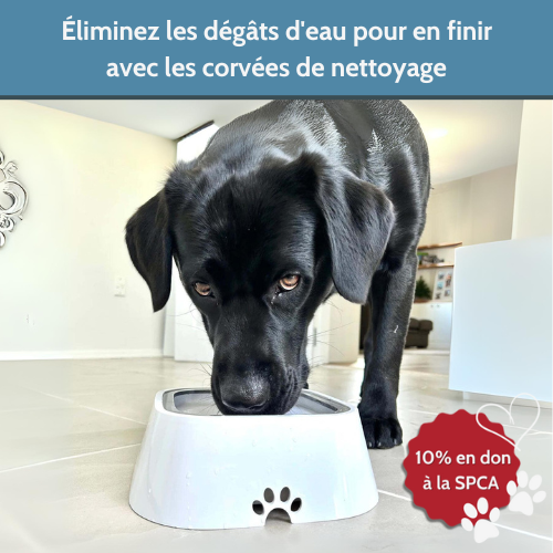 Nos produits de bien-être canin