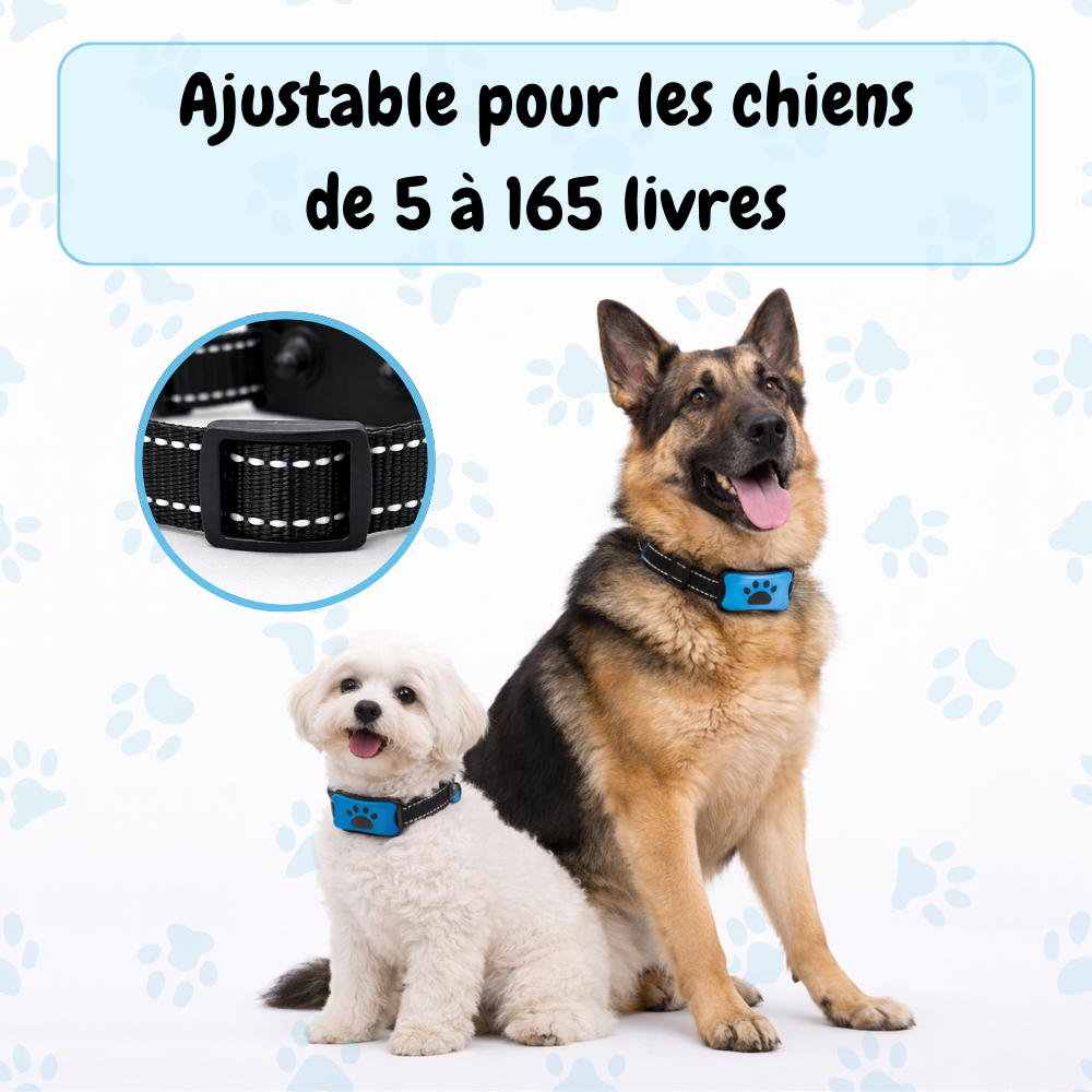 Collier Anti-aboiement EduBark™