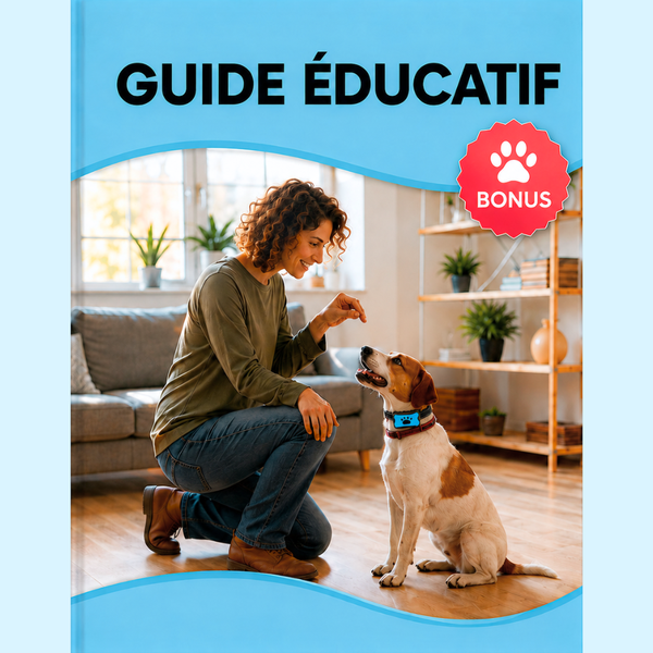 Guide d'éducation
