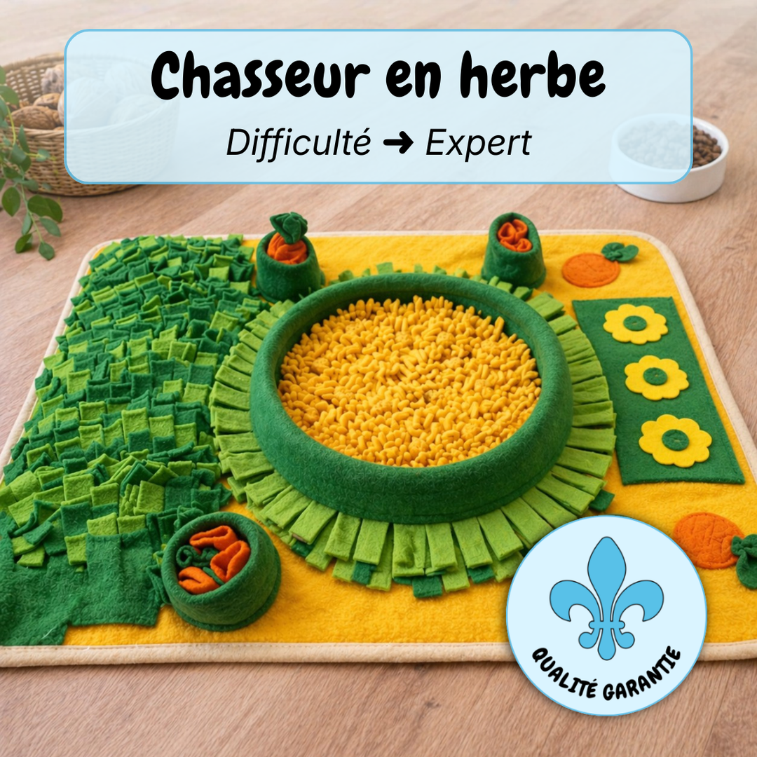 Tapis de fouille