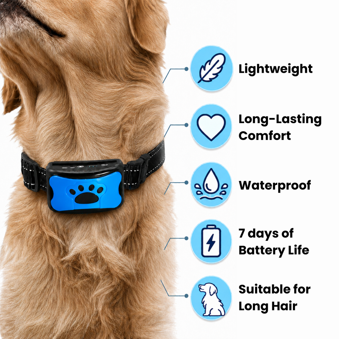 EduBark Anti-Bark Collar