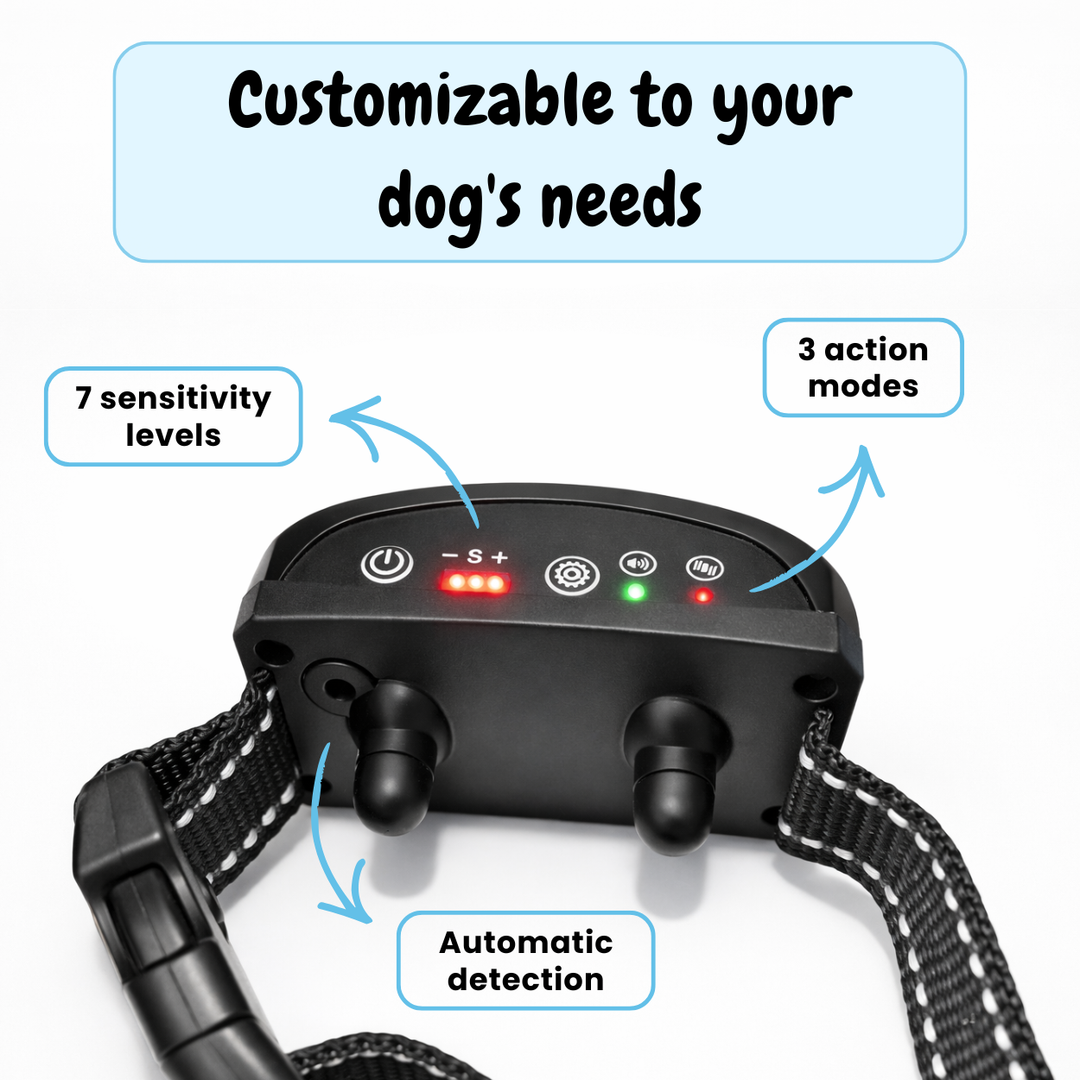EduBark Anti-Bark Collar