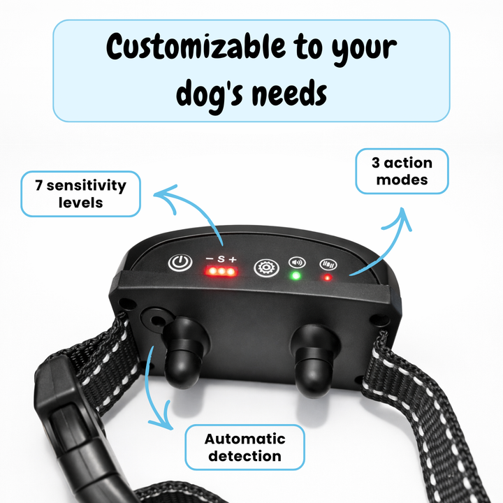 EduBark Anti-Bark Collar