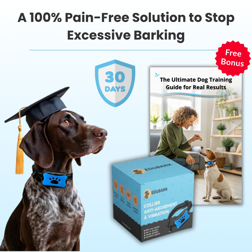 Our canine wellness products