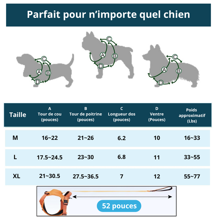 Harnais Anti Traction Pour Chien