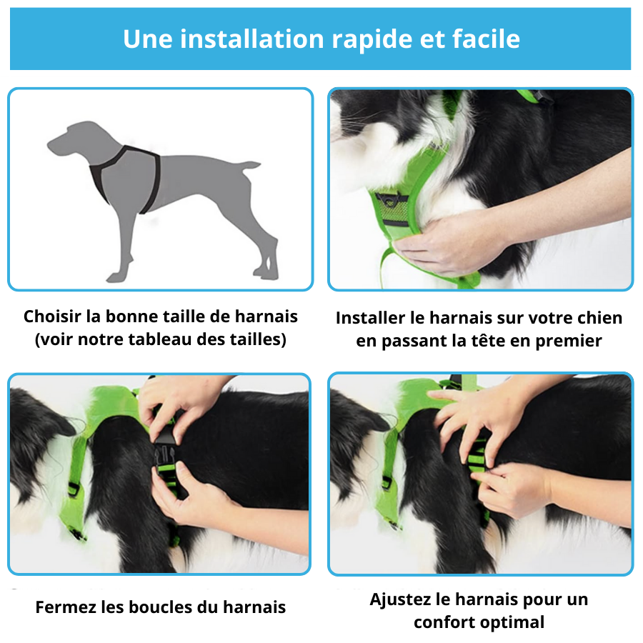 Harnais Anti Traction Pour Chien