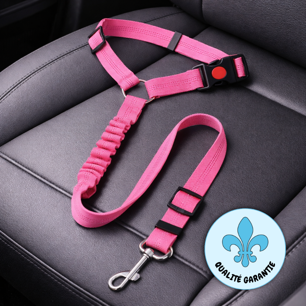 Ceinture de sécurité
