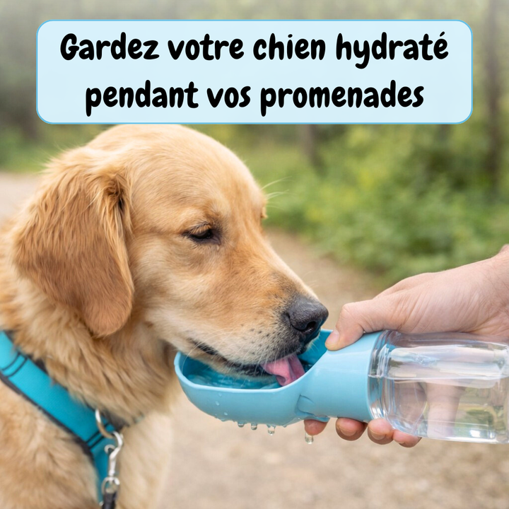 Bouteille de promenade