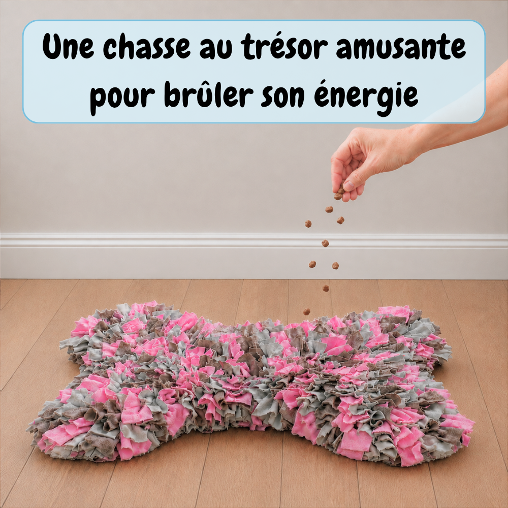 Tapis de fouille
