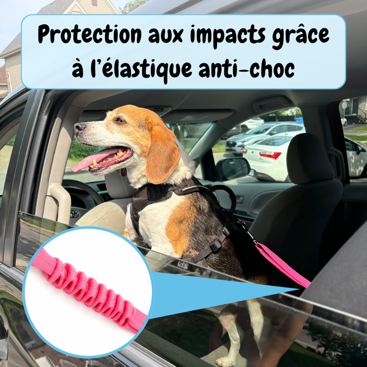Ceinture de sécurité