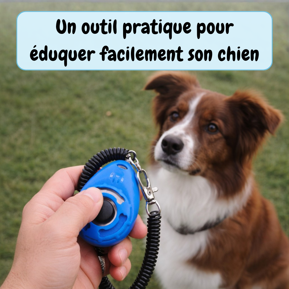 Kit de dressage