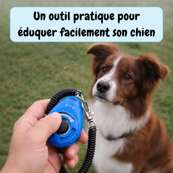 Kit de dressage