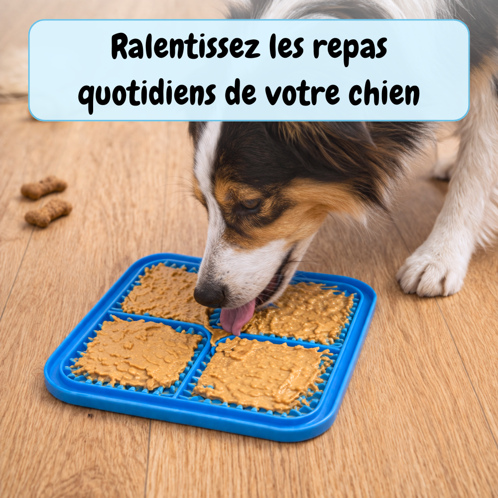 Tapis de lèchage