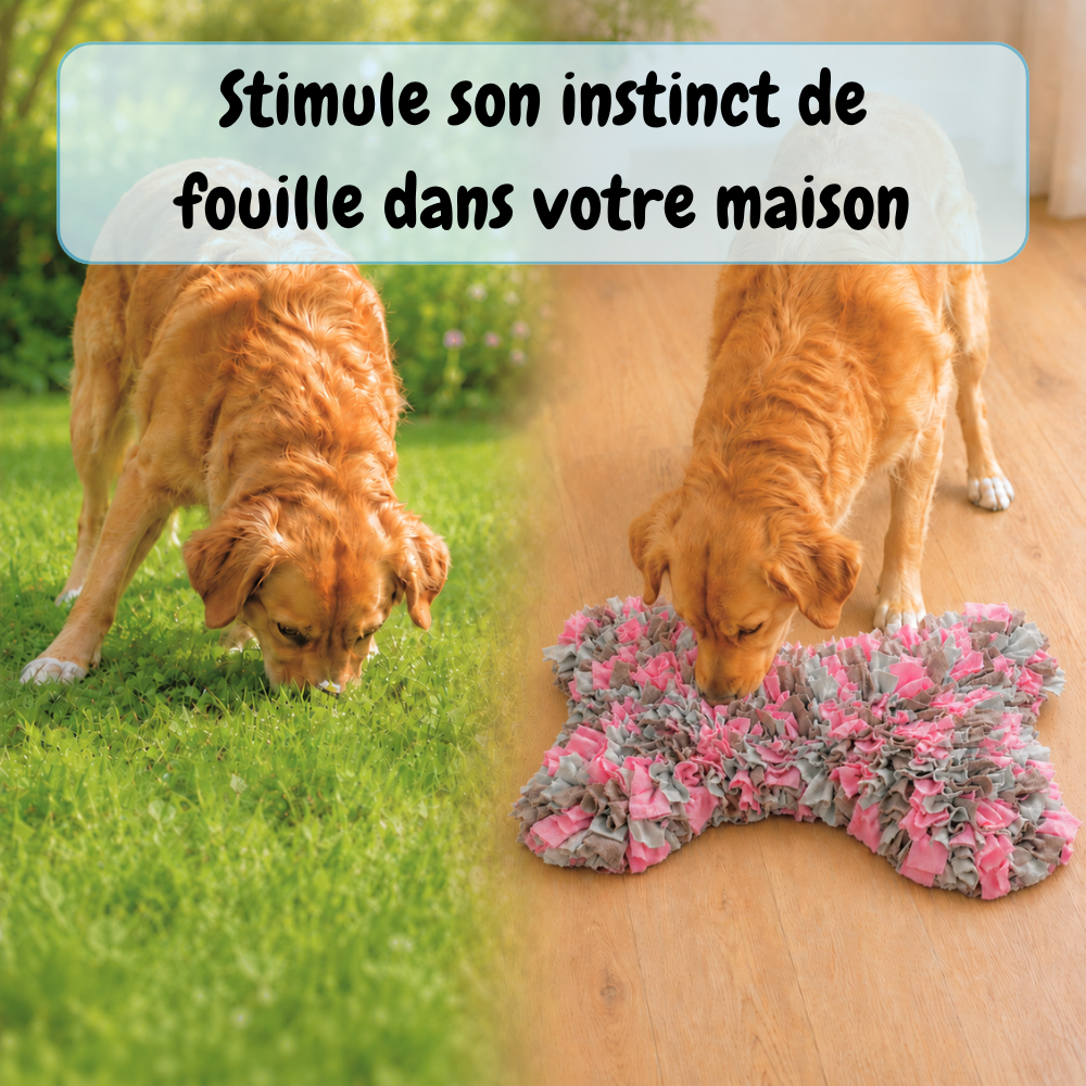 Tapis de fouille