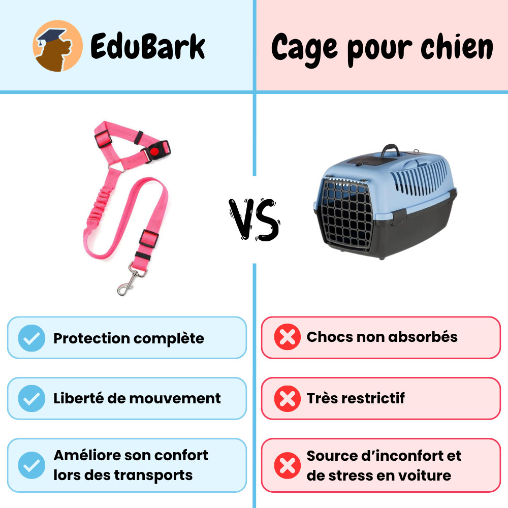 Ceinture de sécurité