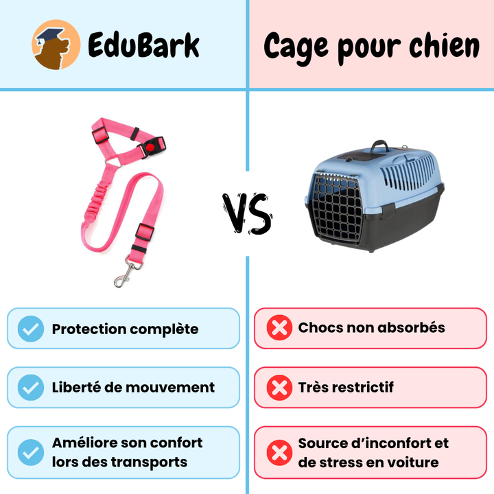 Ceinture de sécurité