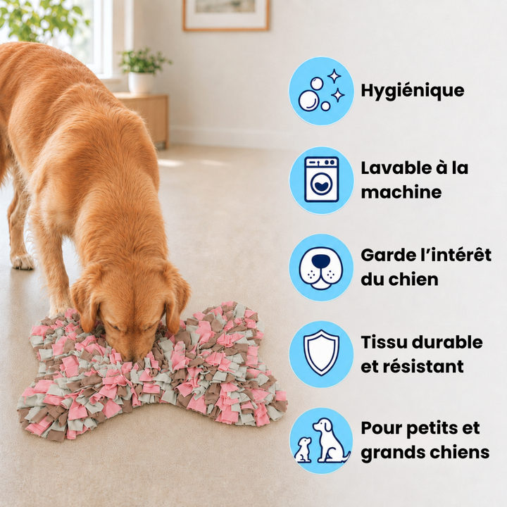 Tapis de fouille