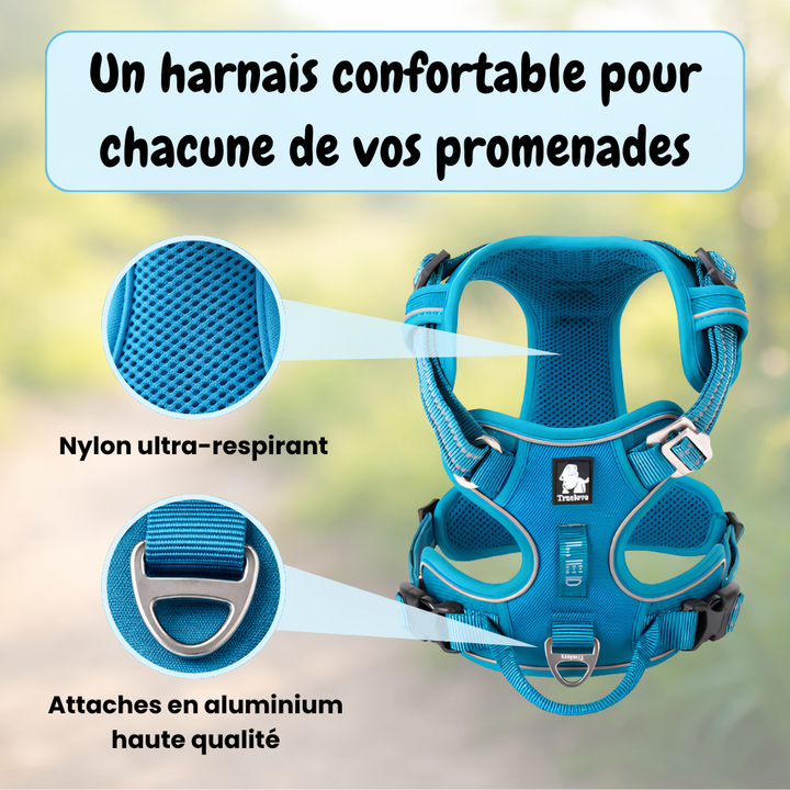 Harnais anti-traction