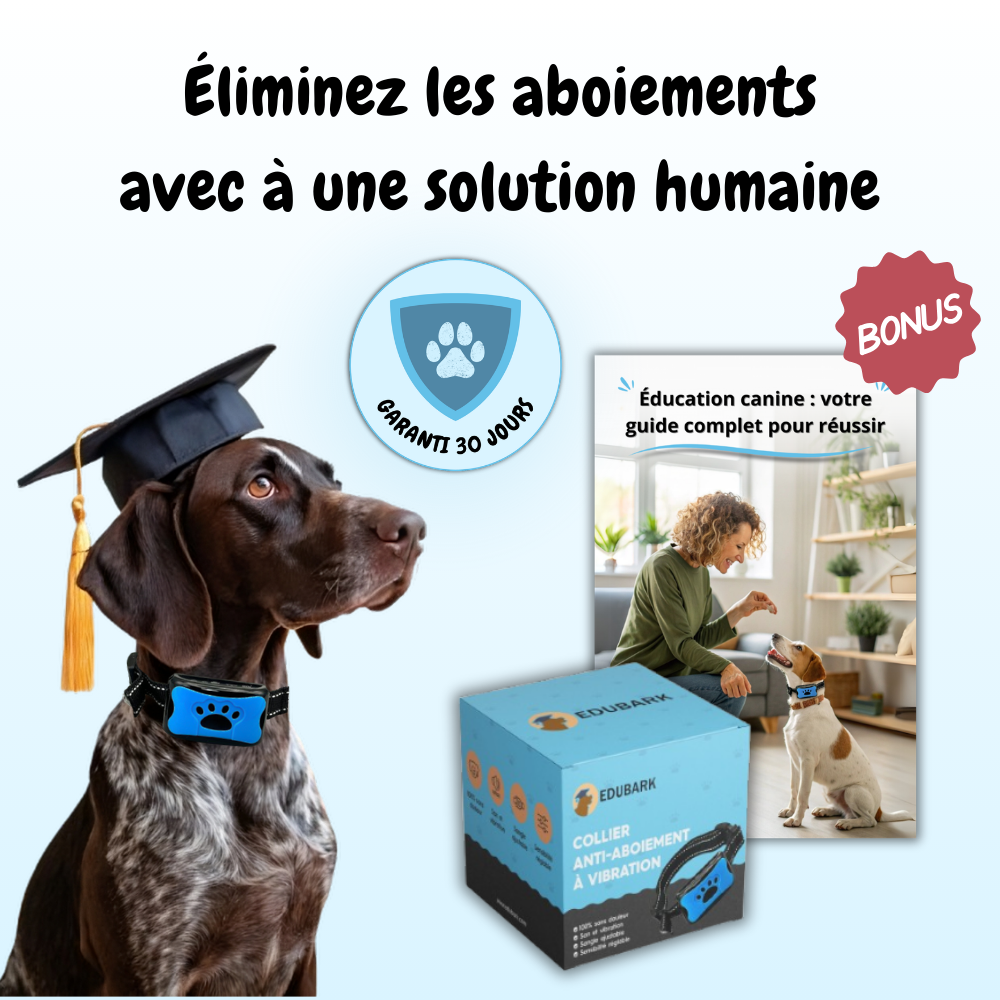 Nos produits de bien-être canin