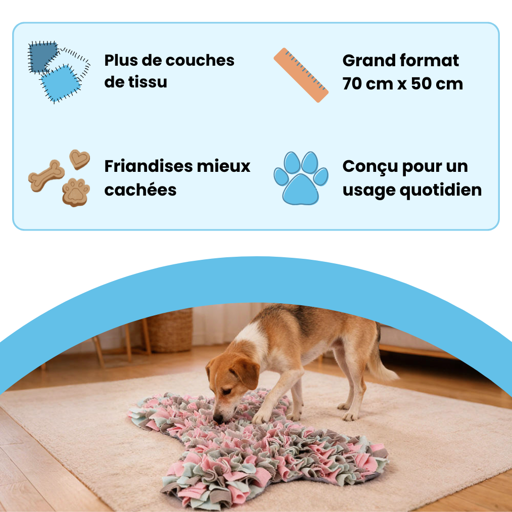 Tapis de fouille