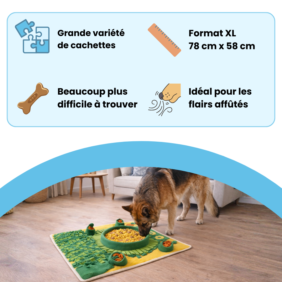 Tapis de fouille
