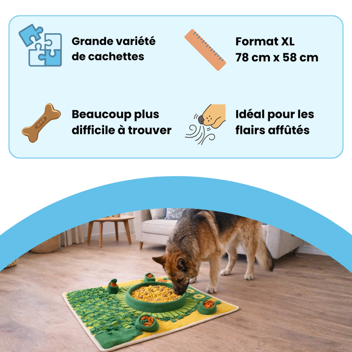 Tapis de fouille