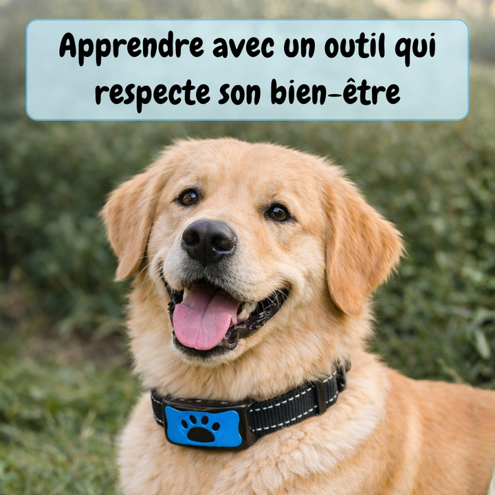 Collier Anti-aboiement EduBark™