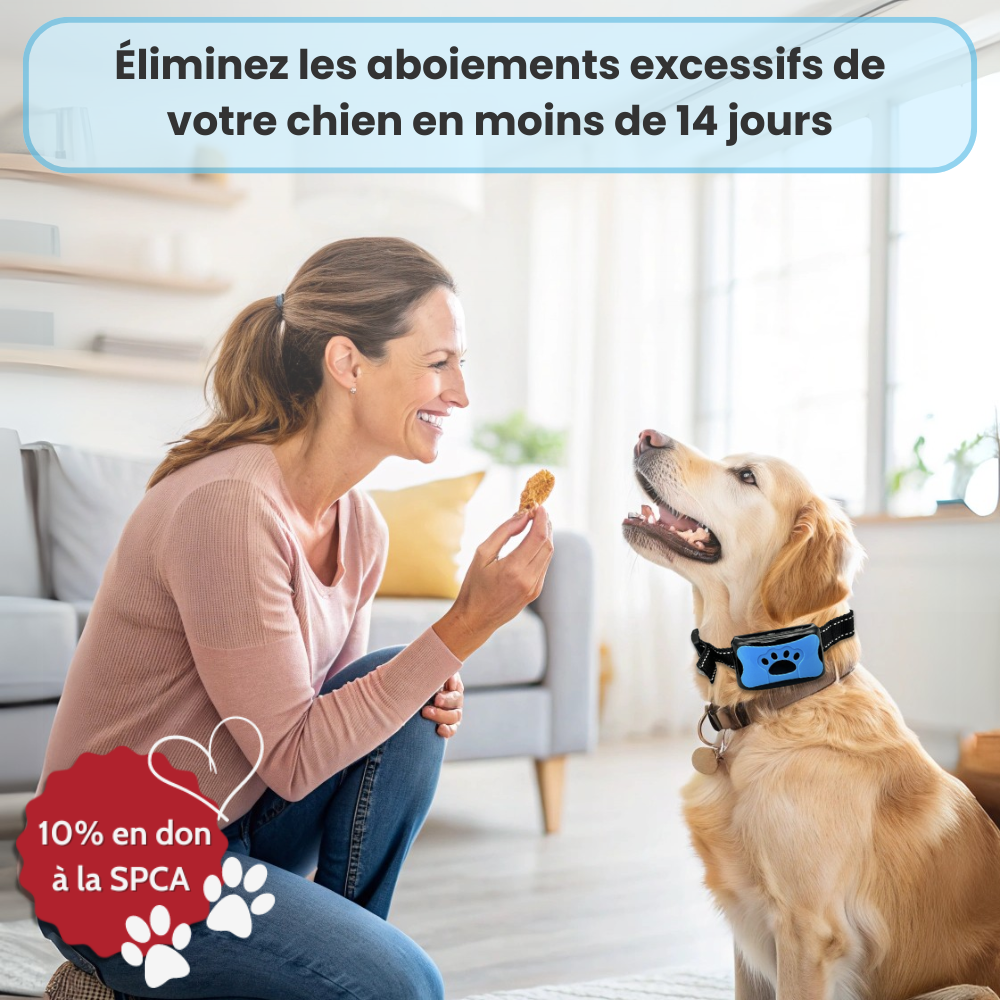 Nos produits de bien-être canin