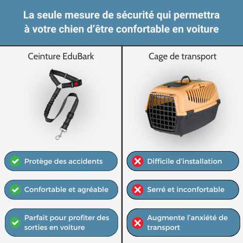 Ceinture de Sécurité Pour Chien