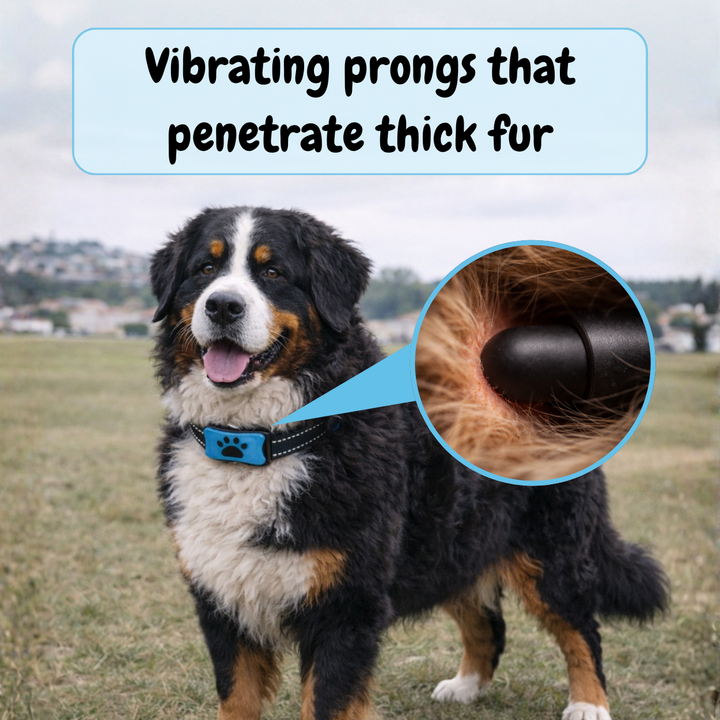 EduBark Anti-Bark Collar