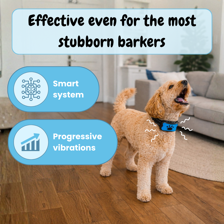 EduBark Anti-Bark Collar