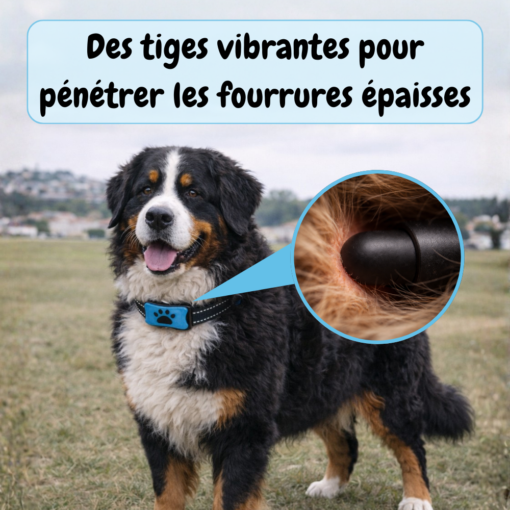 Collier Anti-aboiement EduBark™