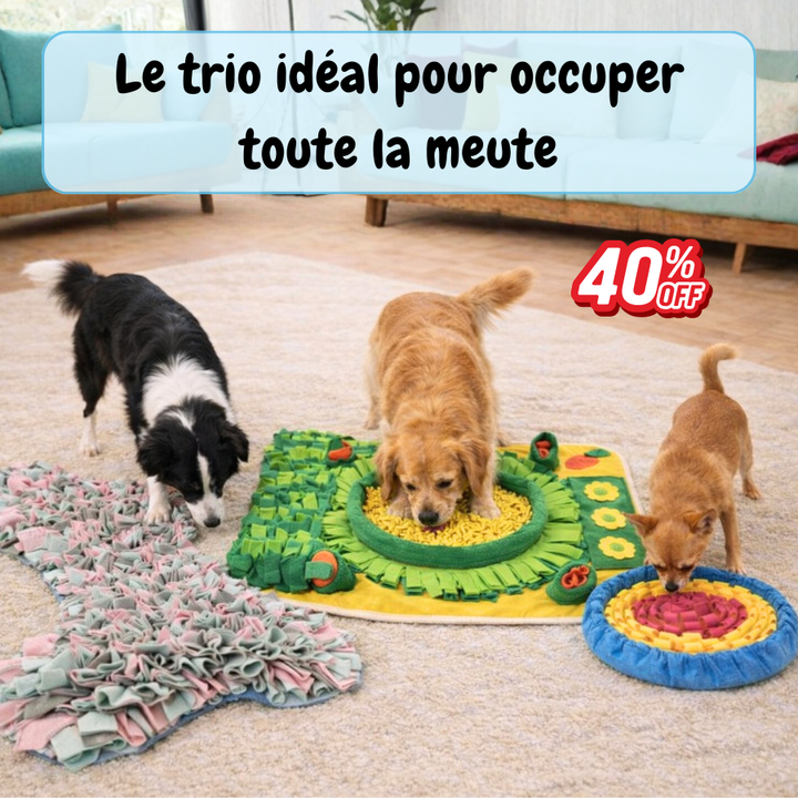 Tapis de fouille