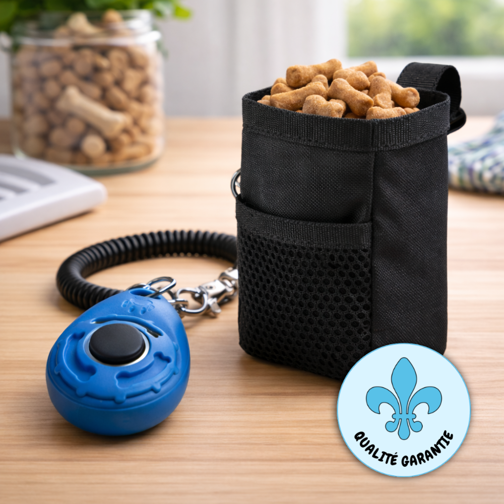Kit de dressage