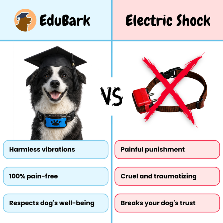 EduBark Anti-Bark Collar