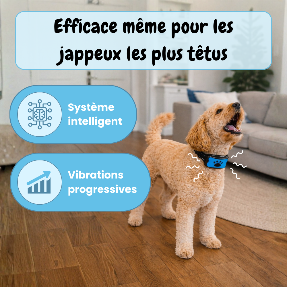 Collier Anti-aboiement EduBark™