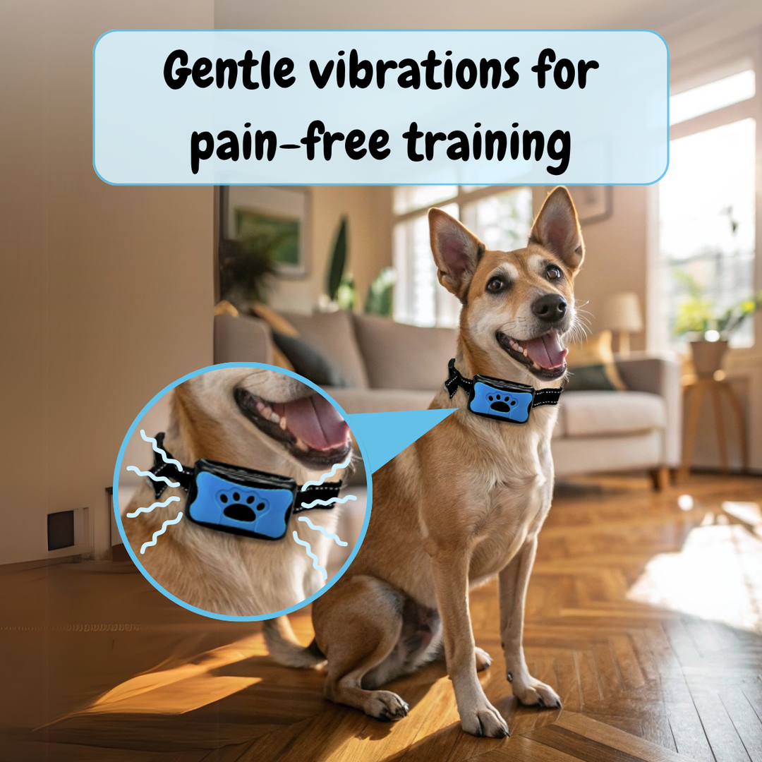 EduBark Anti-Bark Collar