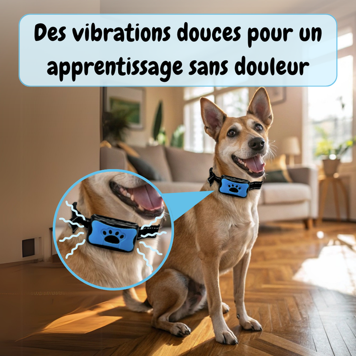 Collier Anti-aboiement EduBark™