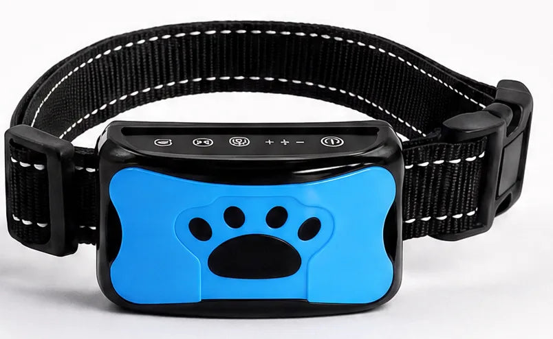 Le collier EduBark bleu